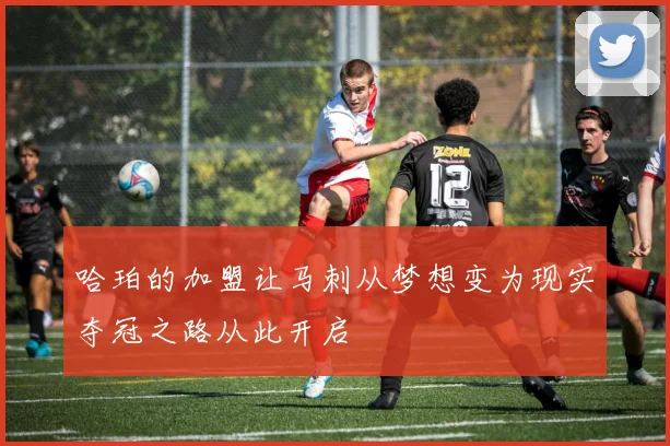 哈珀的加盟让马刺从梦想变为现实夺冠之路从此开启