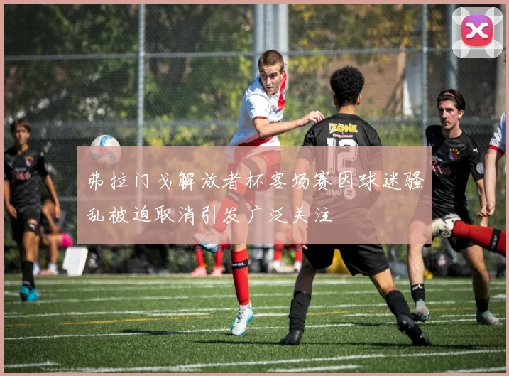 弗拉门戈解放者杯客场赛因球迷骚乱被迫取消引发广泛关注